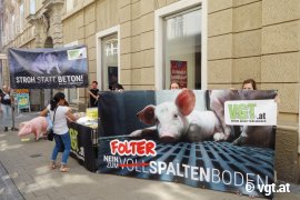 Aktivist_innen mit Bannern und Infostand