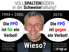 Collage Norbert Hofer