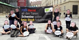 Demonstrant_innen mit Norbert Hofer-Masken