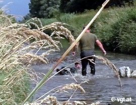 Ein weiterer umgestoßener Tierschützer.