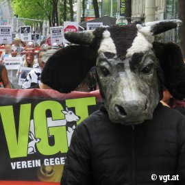 Großkundgebung mit VGT-Banner