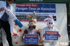 Aktion gegen Pyrogentests
