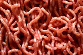 Fleisch