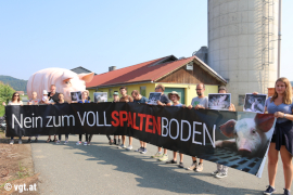 Aktivist_innen vor Schweinefabrik 1