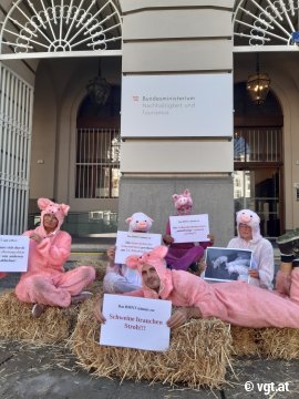 Aktivist_innen als Schweine auf Stroh
