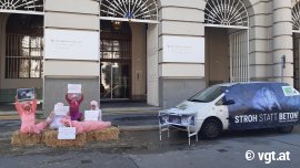 Aktivist_innen mit Demoauto