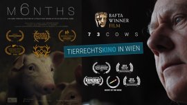 Filmplakate
