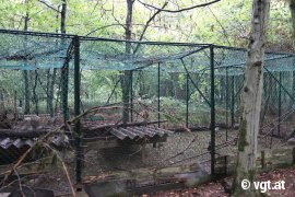 Voliere im Wald