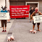 Kundgebungsbild 8
