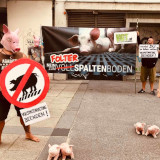 Kundgebungsbild 10