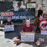 Kundgebungsbild 11