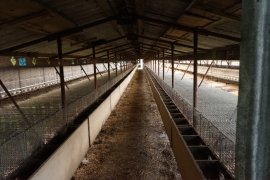 Leere Käfige auf einer Nerz-Pelztierfarm.