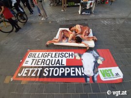 Aktivist_innen in Fleisch-Anzügen vor Banner
