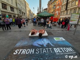 Aktivist_innen mit Spaltenboden Banner