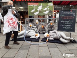 Aktivist_innen stellen gequälte Gänse nach