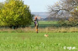 Jäger zielt auf Hasen