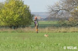 Jäger schießt auf Tierschützer
