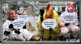 Aktion für Tierrechte 1