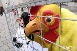 Aktion für Tierrechte 4