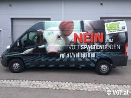 Transporter neu