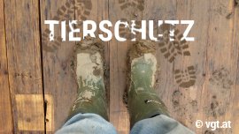 Tierschutz beschmutzt