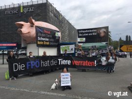 Protest Vollspaltenboden 3