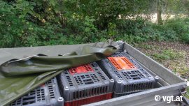 Enten in Kisten
