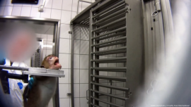 Affe im Tierversuch