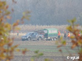 tote Fasane im Auto