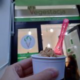 Vegestacja