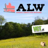 Komm zu einem Tierschutz-Wochenende des VGT!