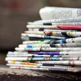 Medienspiegel Kälbertransporte