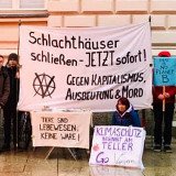 Es wird Frühling … langsam sogar in Tirol!