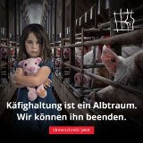Unterschreibe die Bürgerinitiative „End The Cage Age“!