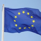EU fordert „physisch angenehmen“ Boden für Schweine