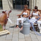 „Tag der Milch“: Frauen öffentlich gemolken.