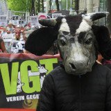 Statement des VGT zur Kandidatur von VGT-Obmann Martin Balluch bei der kommenden Nationalratswahl