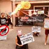 Aktiv in Tirol: Feuer am Dach – Vollspaltenhaltung beenden!