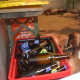 Alkohol & ausgesetzte Fasane: Schießspaß bedeutet Tierquälerei!