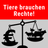 Am 10. Dezember ist der Tag der Tierrechte.