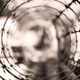 SPÖ-Doskozil Vorschlag Sicherungshaft bedroht auch Tierschutz- und Umweltaktivismus
