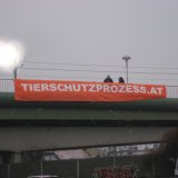 Neue brisante Dokumente im BVT Untersuchungs-Ausschuss zur Tierschutzcausa