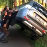 Niederlande: Mob von Schweinebauern terrorisiert Tierschutz, zertrümmert Autos