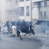 Nach Entlassung Kickls: Polizeipferde müssen weg!
