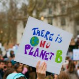 Morgen Freitag Klimastreik: Tierproduktion einer der Hauptfaktoren in der Klimakrise