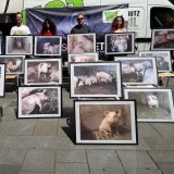Fotogalerie des Grauens