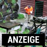 VGT zeigt „Weißen Zoo“ an