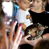Zoos im Check: schlechteste Note für Reptilienzoo Forchtenstein