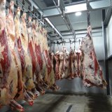 Auch heimische Rinderhaltung ruiniert das Klima!