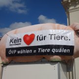 Alle Jahre wieder: VGT beim ÖVP-Erntedankfest